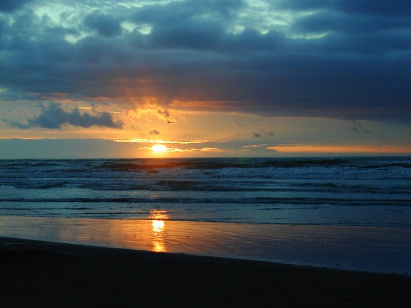 Sun Setting over Ocean — Blue, Dramatic, Sunset, Photograph, Clouds, Bird