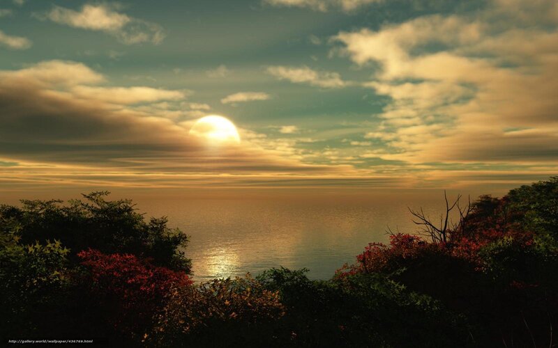 Sun Setting over Ocean — Gold, Serene, Sunset, Photograph, Clouds, Trees, Sea