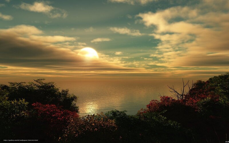 Sun Setting over Ocean — Gold, Serene, Sunset, Photograph, Clouds, Trees