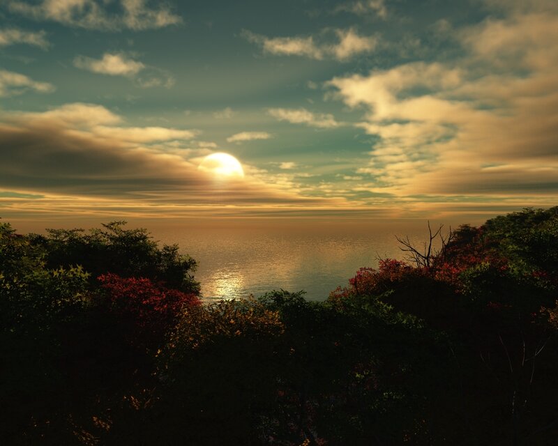 Sun Setting over Ocean — Gold, Serene, Sunset, Photograph, Trees