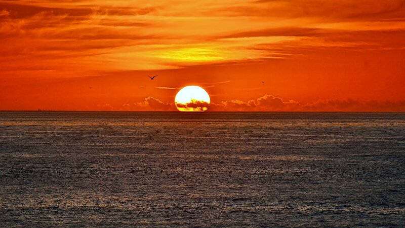 Sun Setting over Ocean — Orange, Dramatic, Sunset, Photograph, Birds