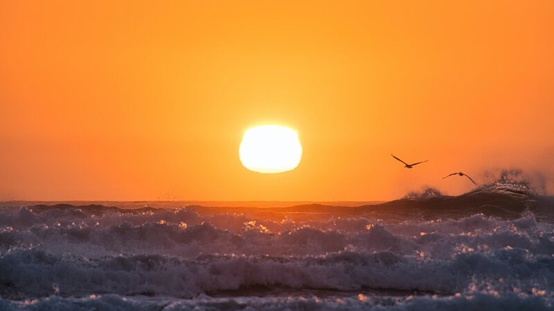 Sun Setting over Ocean — Orange, Dramatic, Sunset, Photograph, Birds, Waves
