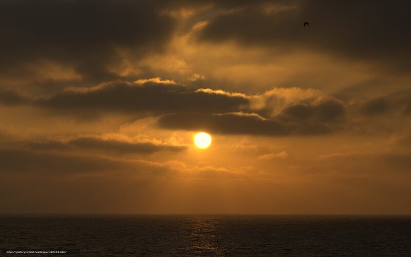Sun Setting over Ocean — Orange, Dramatic, Sunset, Photograph, Clouds, Bird, Sea
