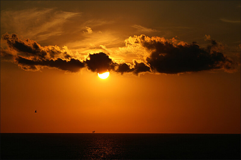 Sun Setting over Ocean — Orange, Dramatic, Sunset, Photograph, Clouds, Bird, Ship
