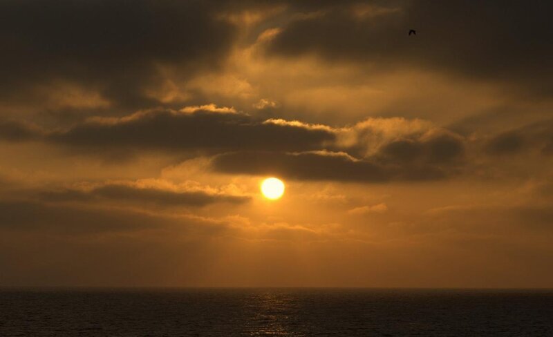 Sun Setting over Ocean — Orange, Dramatic, Sunset, Photograph, Clouds, Bird