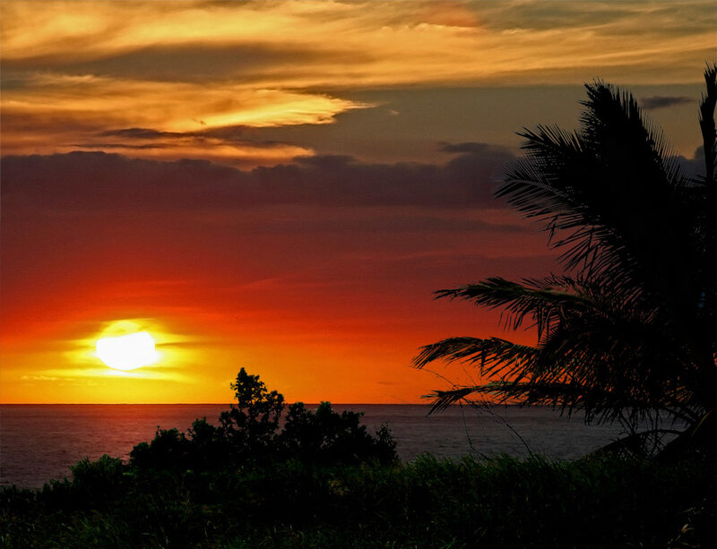 Sun Setting over Ocean — Orange, Dramatic, Sunset, Photograph, Palm Tree