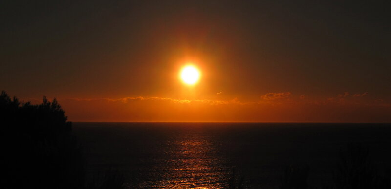 Sun Setting over Ocean — Orange, Dramatic, Sunset, Photograph, Sky, Trees