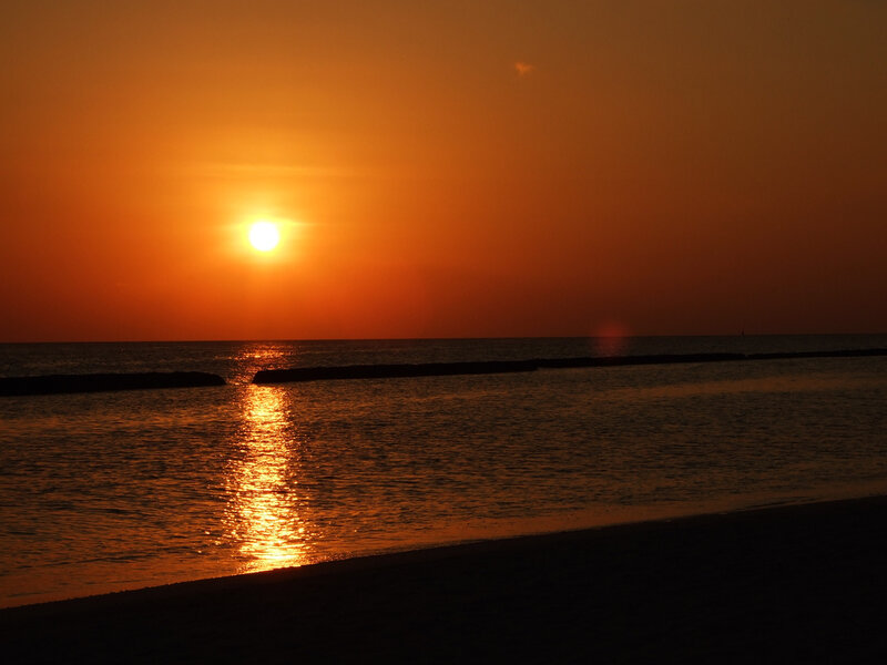 Sun Setting over Ocean — Orange, Serene, Sunset, Photograph, Beach, Black