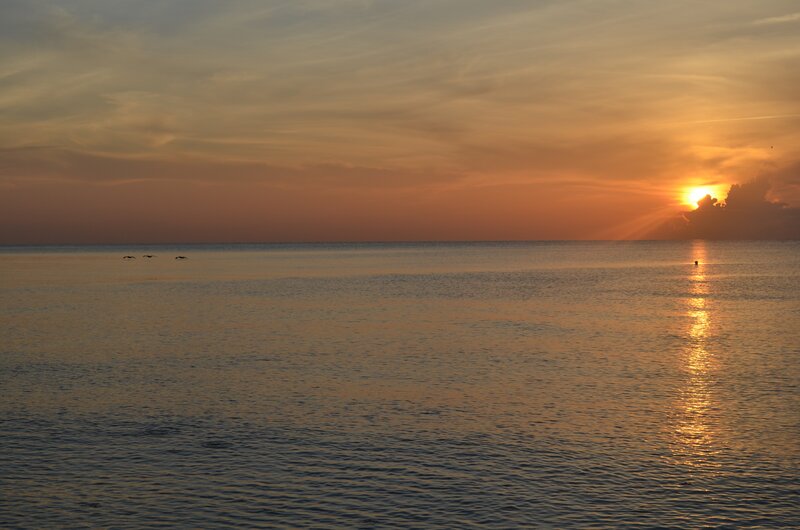 Sun Setting over Ocean — Orange, Serene, Sunset, Photograph, Birds, Clouds