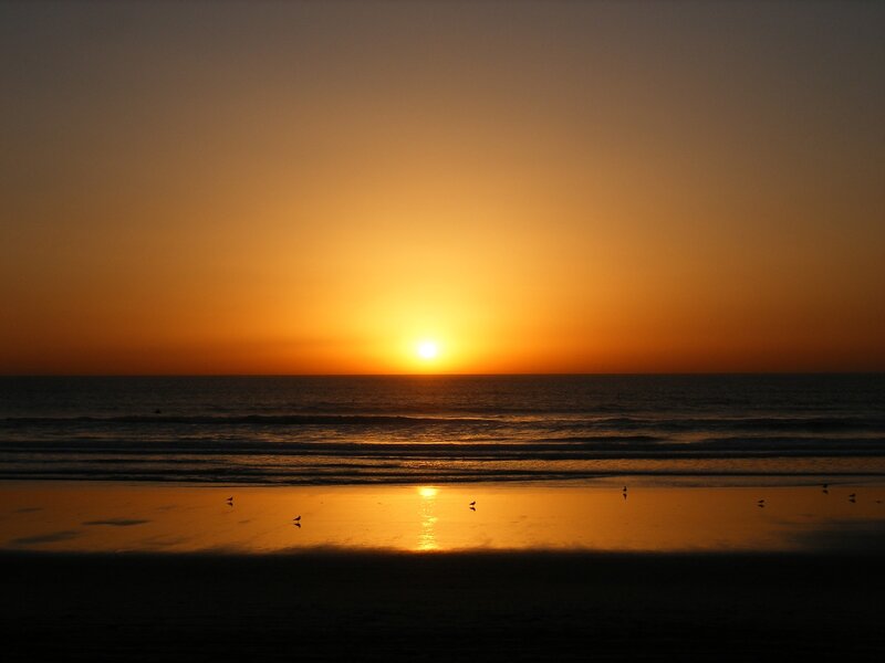 Sun Setting over Ocean — Orange, Serene, Sunset, Photograph, Birds, Waves