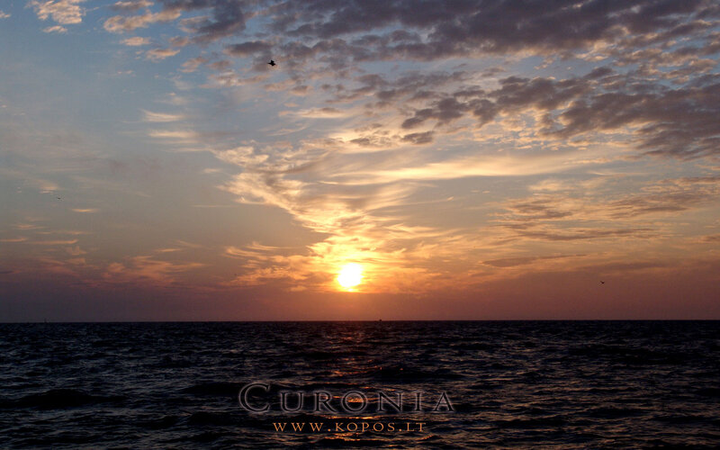 Sun Setting over Ocean — Orange, Serene, Sunset, Photograph, Clouds, Bird, Sea