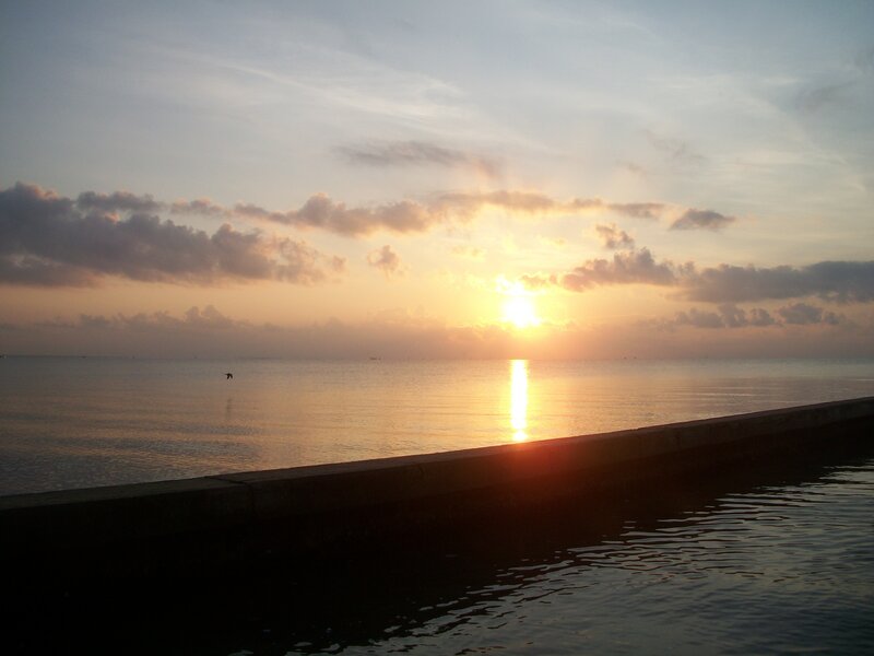 Sun Setting over Ocean — Orange, Serene, Sunset, Photograph, Clouds, Bird
