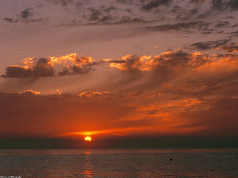 Sun Setting over Ocean — Orange, Serene, Sunset, Photograph, Clouds, Dolphin