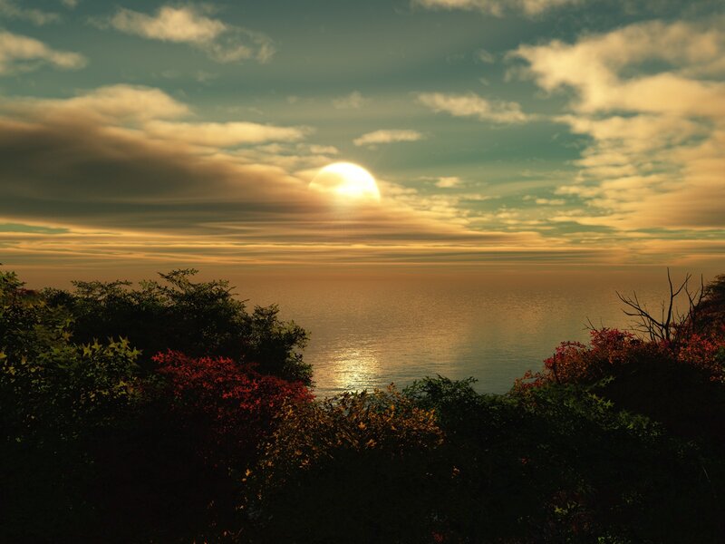 Sun Setting over Ocean — Orange, Serene, Sunset, Photograph, Clouds, Trees