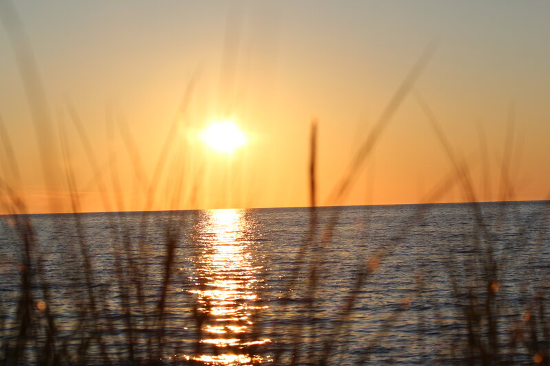 Sun Setting over Ocean — Orange, Serene, Sunset, Photograph, Grass, Sea