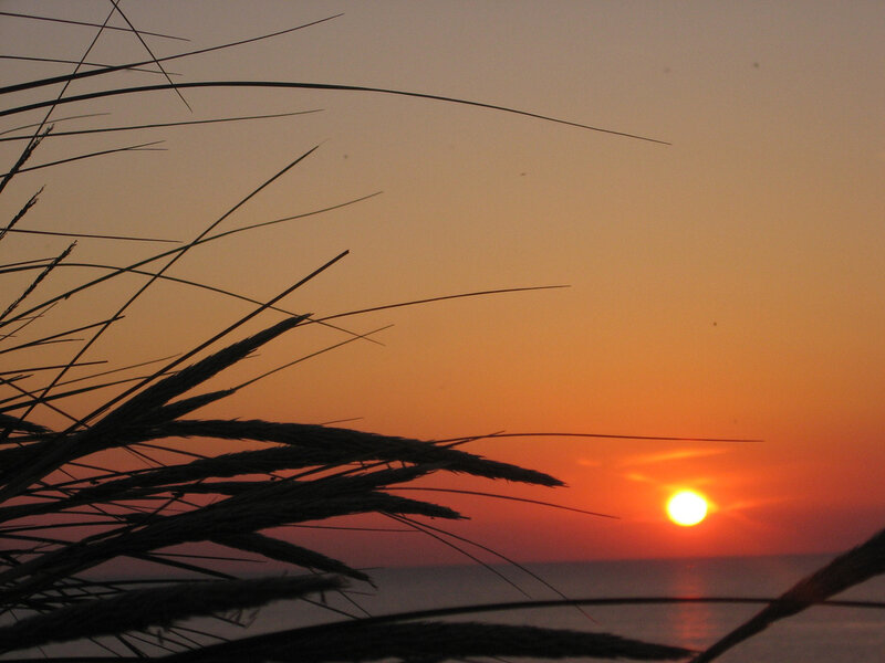 Sun Setting over Ocean — Orange, Serene, Sunset, Photograph, Grass