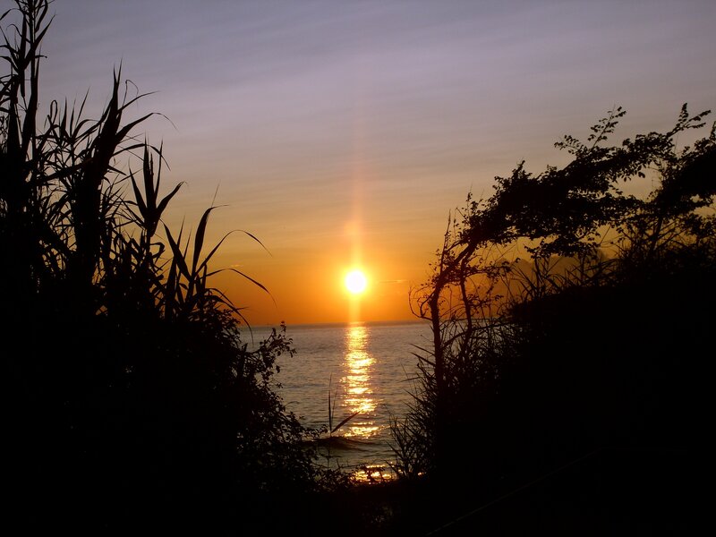 Sun Setting over Ocean — Orange, Serene, Sunset, Photograph, Plants