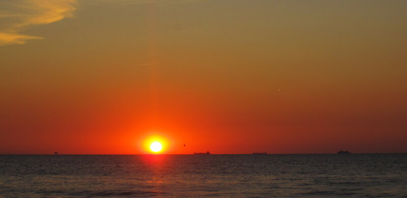 Sun Setting over Ocean — Orange, Serene, Sunset, Photograph, Ships, Bird