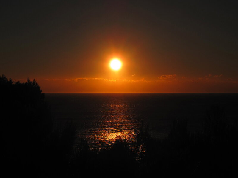 Sun Setting over Ocean — Orange, Serene, Sunset, Photograph, Sky, Trees