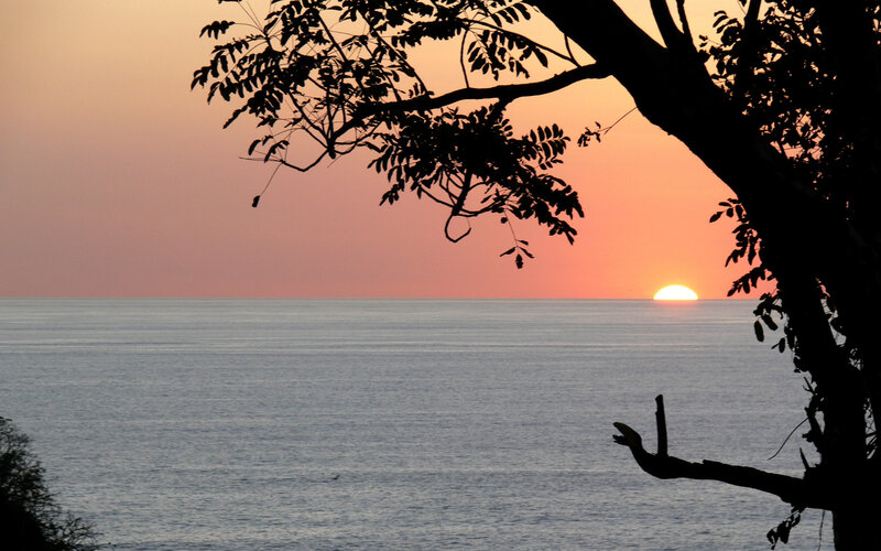 Sun Setting over Ocean — Orange, Serene, Sunset, Photograph, Tree