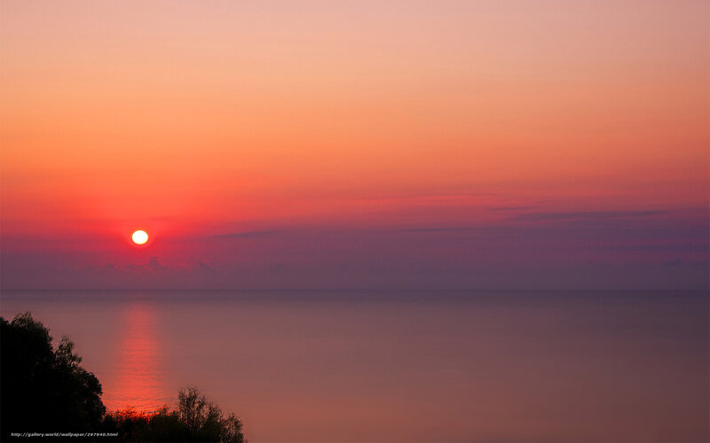 Sun Setting over Ocean — Orange, Serene, Sunset, Photograph, Trees, Sky
