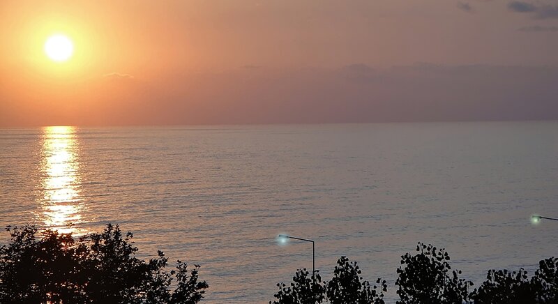 Sun Setting over Ocean — Orange, Serene, Sunset, Photograph, Trees, Streetlight