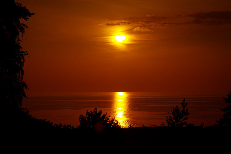 Sun Setting over Ocean — Orange, Serene, Sunset, Photograph, Trees