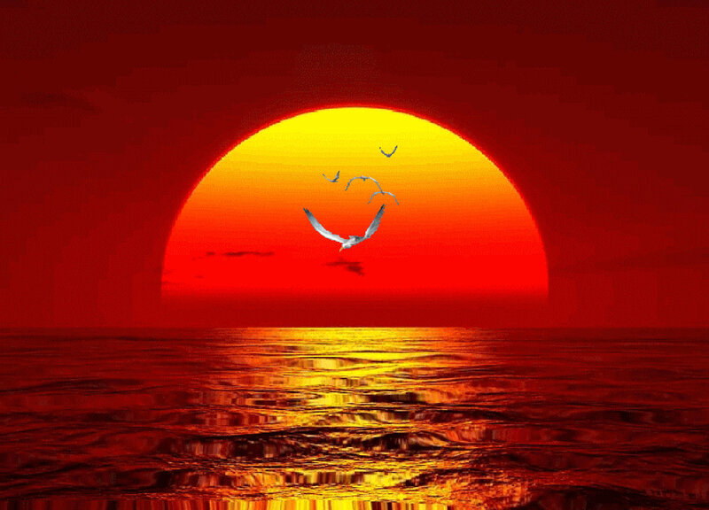 Sun Setting over Ocean — Red, Dramatic, Sunset, Digital Art, Birds