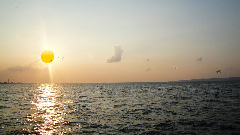 Sun Setting over Ocean — Yellow, Serene, Sunset, Photograph, Birds