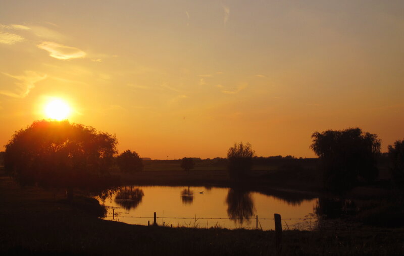 Sun Setting over Pond