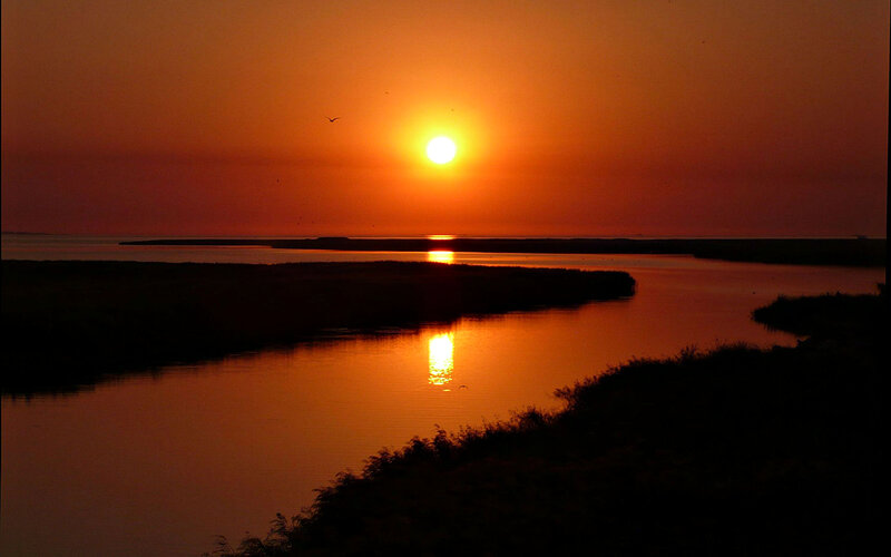 Sun Setting over River — Orange, Serene, Sunset, Photograph, Bird