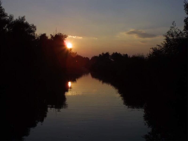 Sun Setting over River — Orange, Serene, Sunset, Photograph, Trees, Black