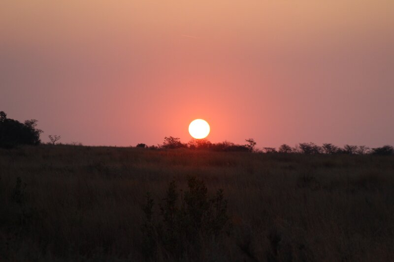 Sun Setting over Savanna