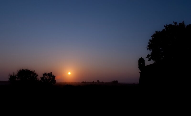 Sun Setting over Trees — Blue, Serene