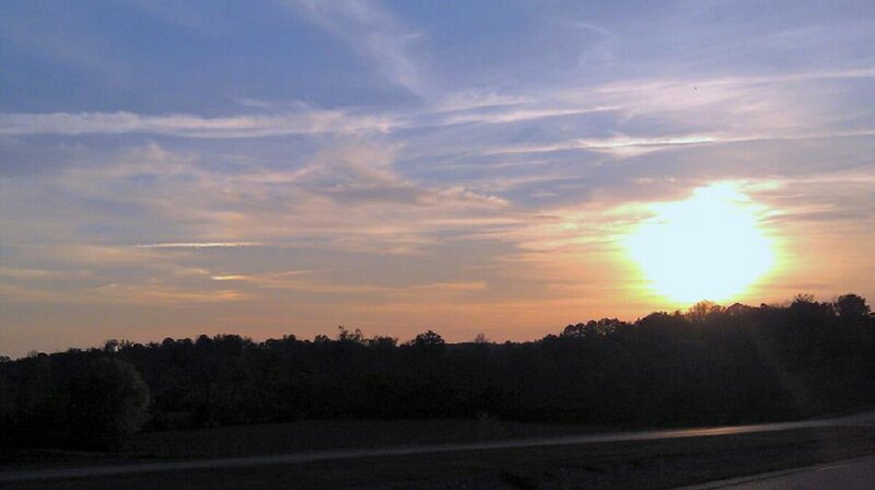 Sun Setting over Trees — Blue