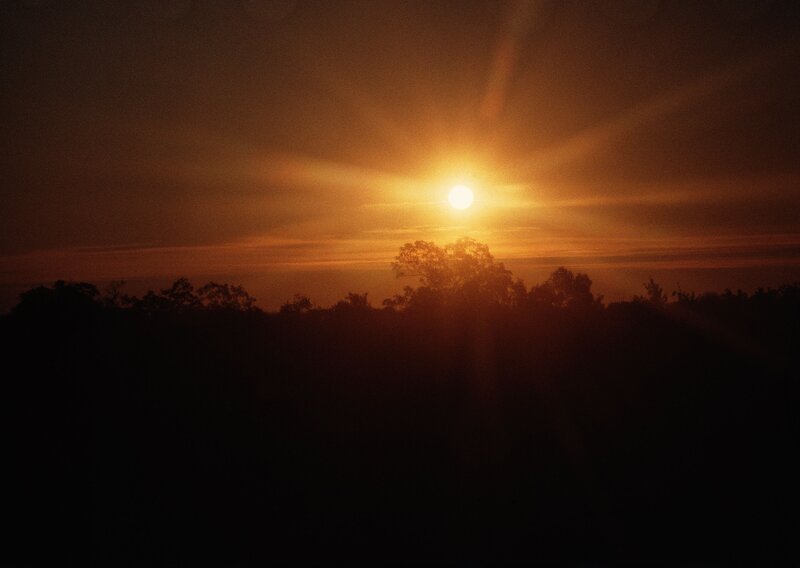 Sun Setting over Trees — Orange, Serene, Sunset, Photograph, Sky, Black