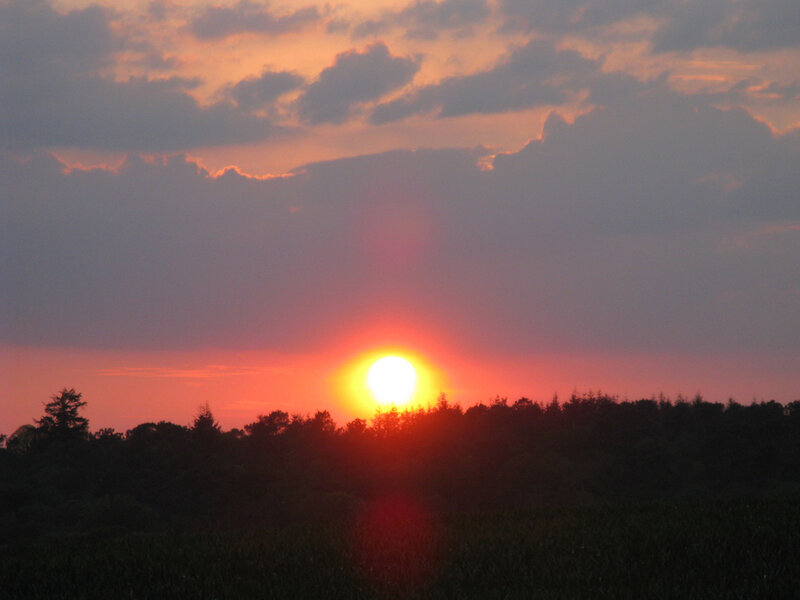 Sun Setting over Trees — Orange, Serene, Sunset, Photograph, Sky, Clouds