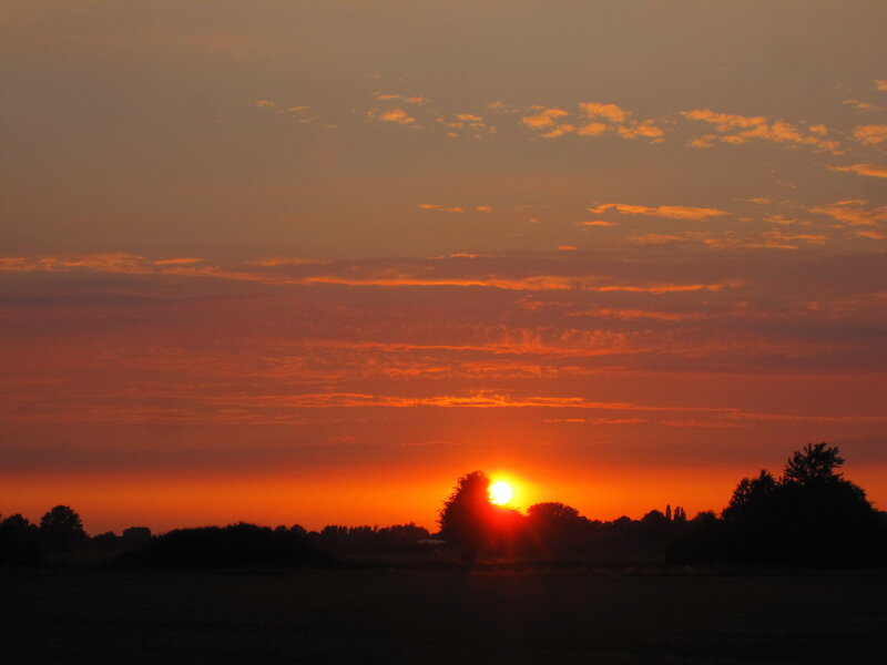 Sun Setting over Trees — Orange, Serene, Sunset, Photograph