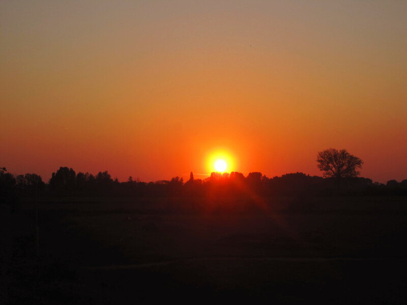 Sun Setting over Trees — Orange, Serene, Sunset