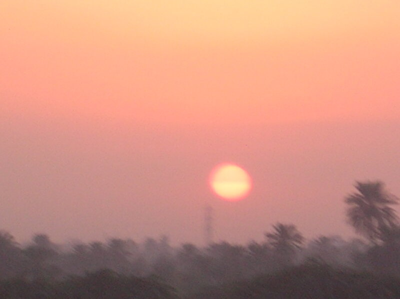 Sun Setting over Trees — Orange, Serene