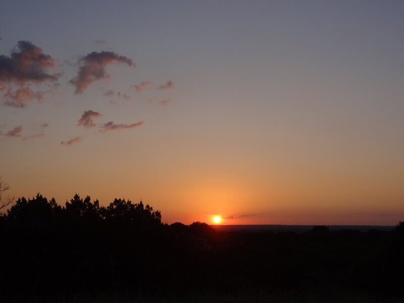 Sun Setting over Trees — Orange