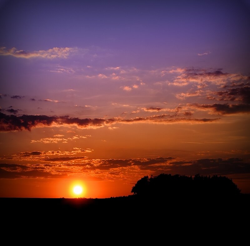 Sun Setting over Trees