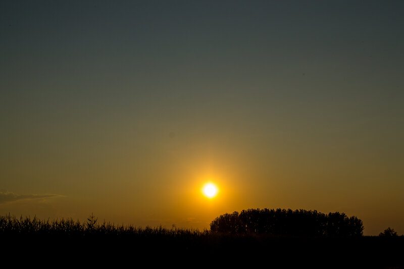 Sun Setting over Trees — Yellow, Serene
