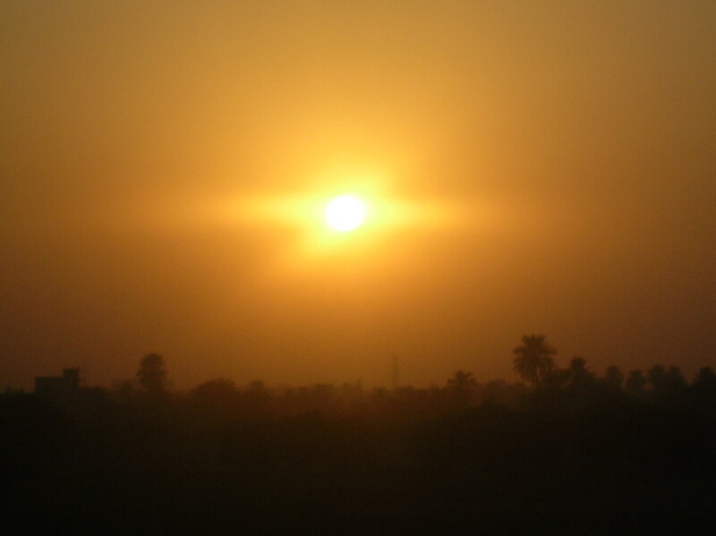 Sun Setting over Trees — Yellow