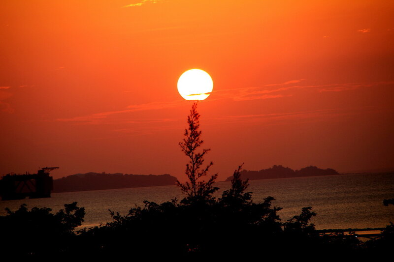 Sun Setting over Water — Orange, Dramatic, Sunset, Photograph, Tree