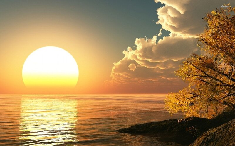 Sun Setting over Water — Orange, Serene, Sunset, Digital Art, Clouds, Tree