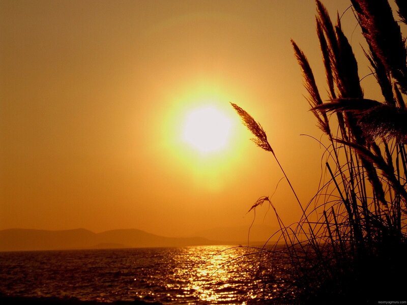 Sun Setting over Water — Orange, Serene, Sunset, Photograph, Grass