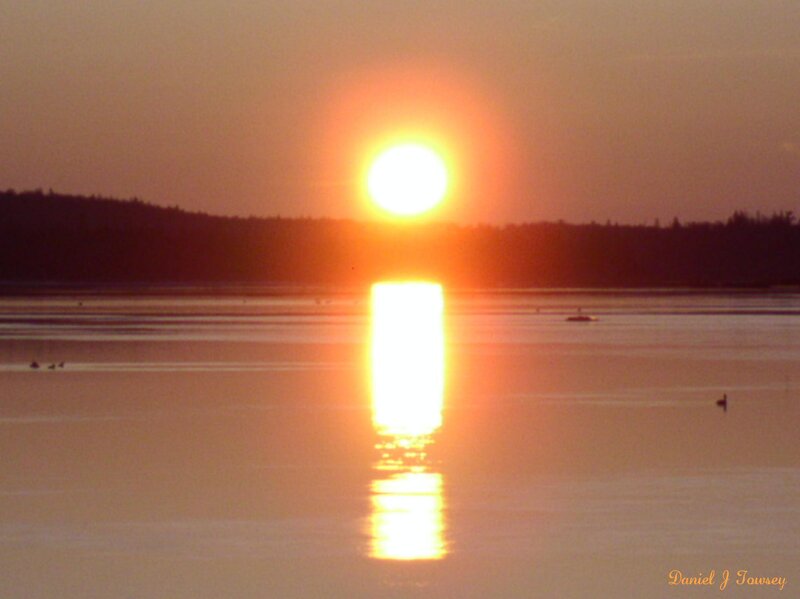 Sun Setting over Water — Orange, Serene, Sunset, Photograph, Reflection, Birds