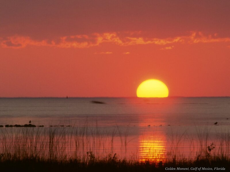 Sun Setting over Water — Orange, Serene, Sunset, Photograph, Sky, Grass