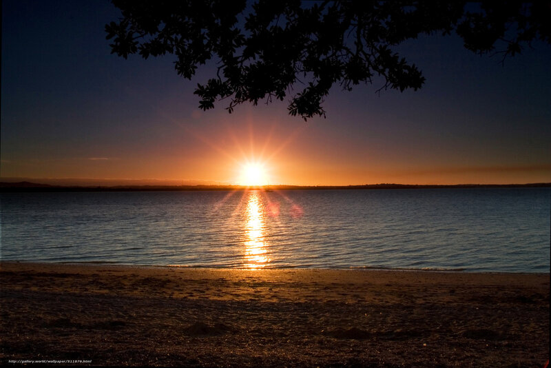 Sun Setting over Water — Orange, Serene, Sunset, Photograph, Tree Branches, Beach